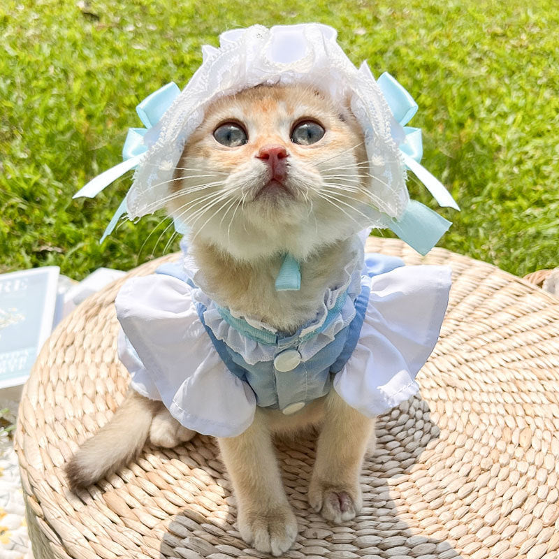 Dog Walking Maid Parent-Child Dress