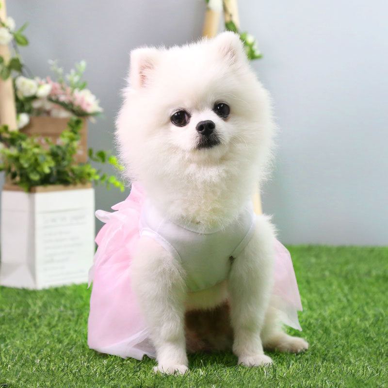 Pet Princess Wedding Dress