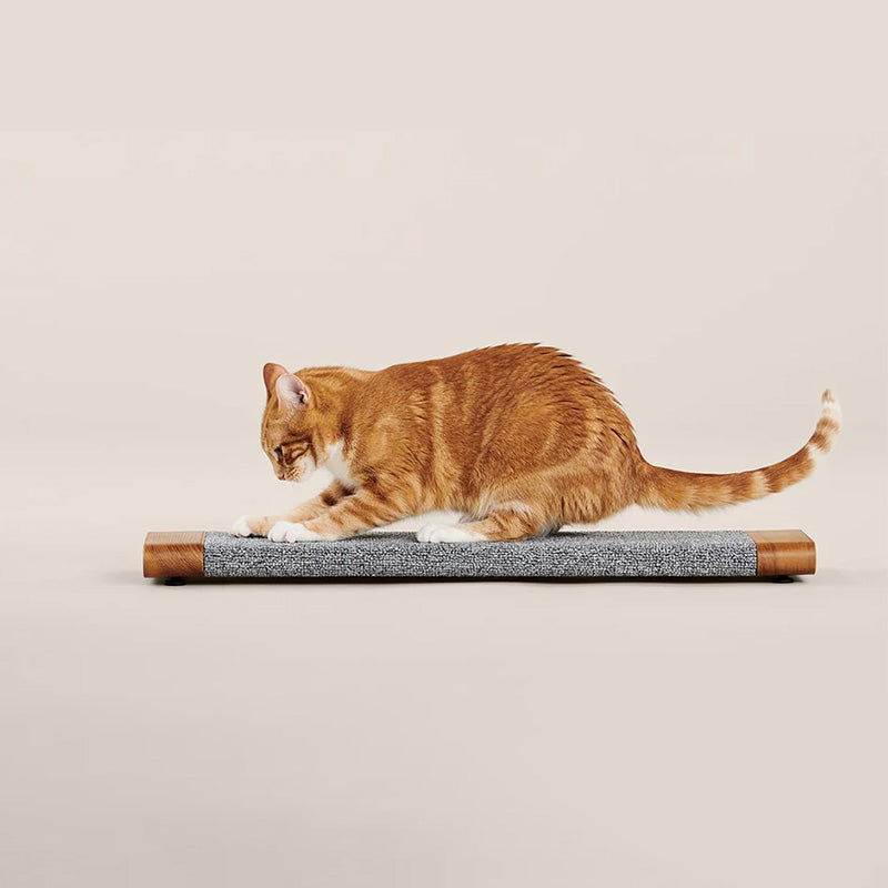 Cat Scratching Board With A Simple Design