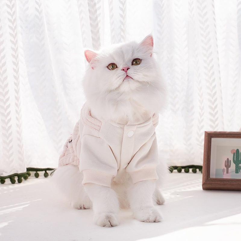 3D Dinosaur Autumn and Winter Pet Cotton Clothes