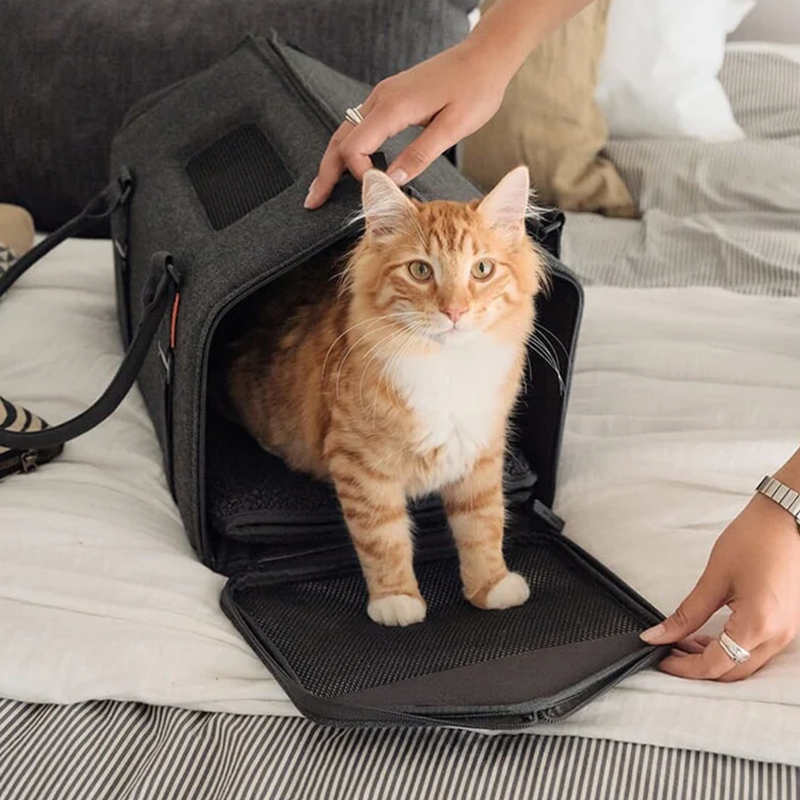 Hand-held luggage cat bed