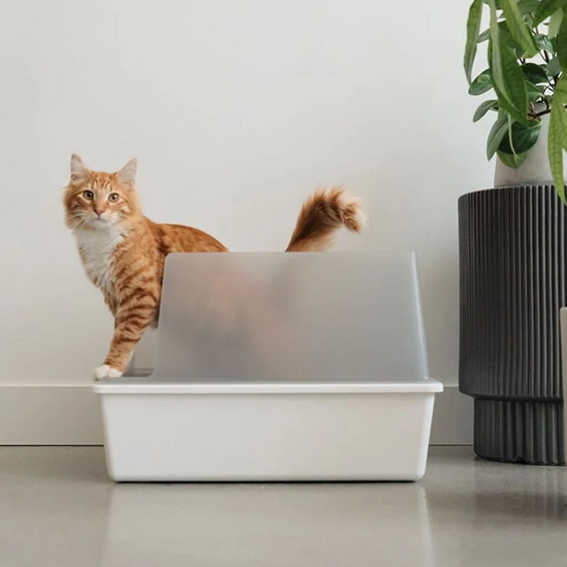 Simple Single Cubby Litter Box
