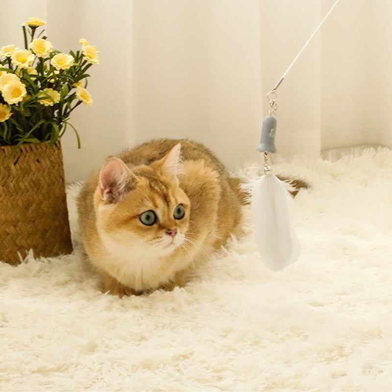 Electric Laser Pointer Infrared Cat Fishing Rod