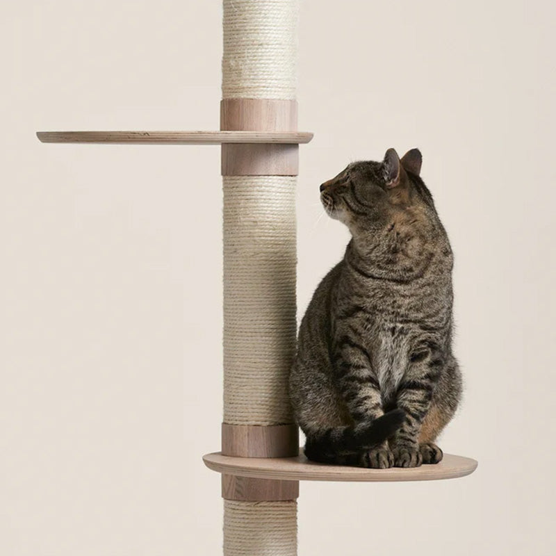 Three Tiers Of Oval Cat Tree