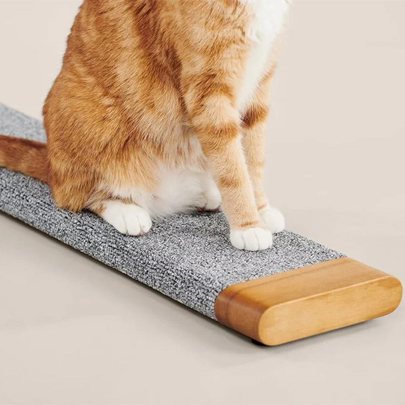 Cat Scratching Board With A Simple Design