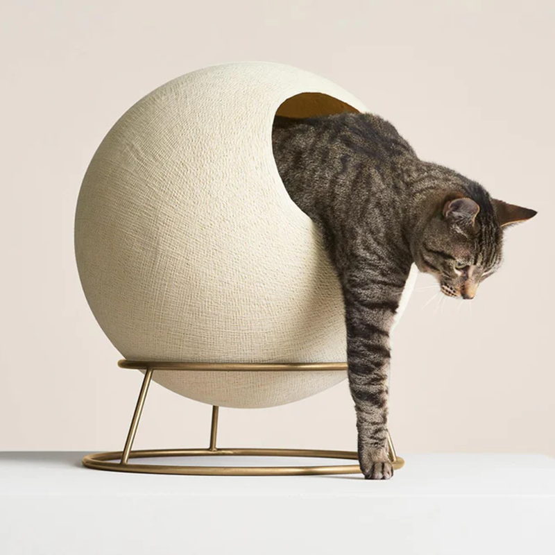 Modern Cat Bed for Indoor Cats