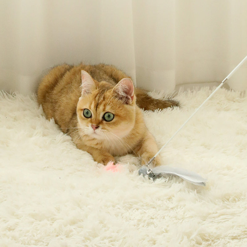 Electric Laser Pointer Infrared Cat Fishing Rod