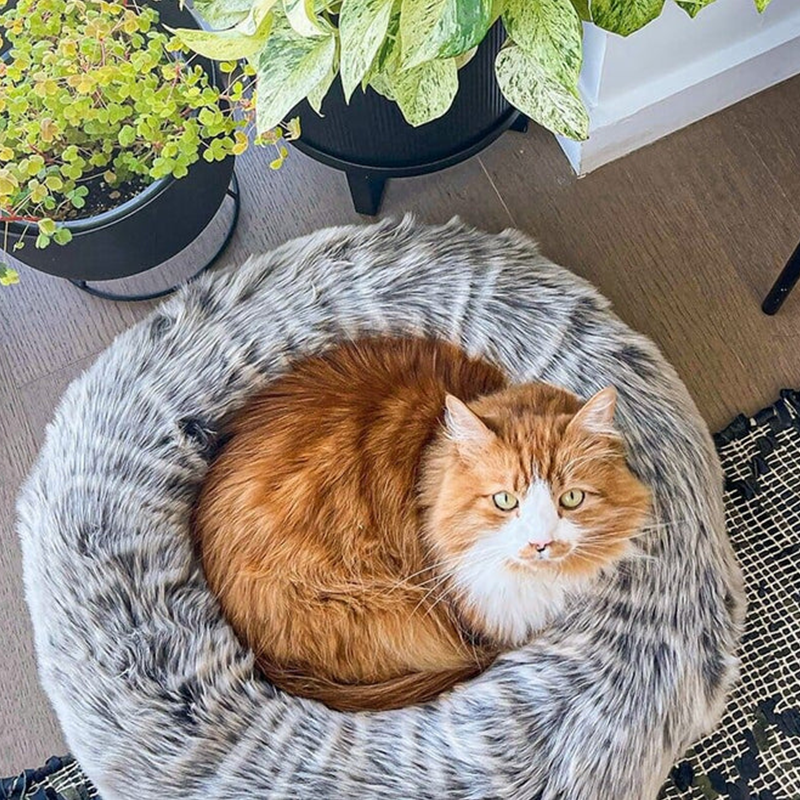 Round Dark Grey Faux Fur Cat Bed