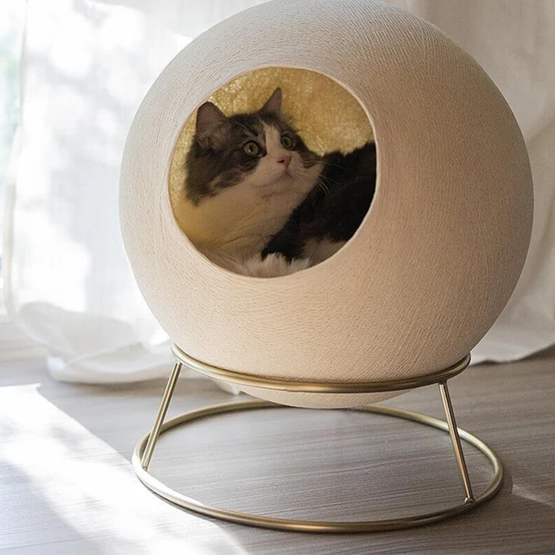 Modern Cat Bed for Indoor Cats