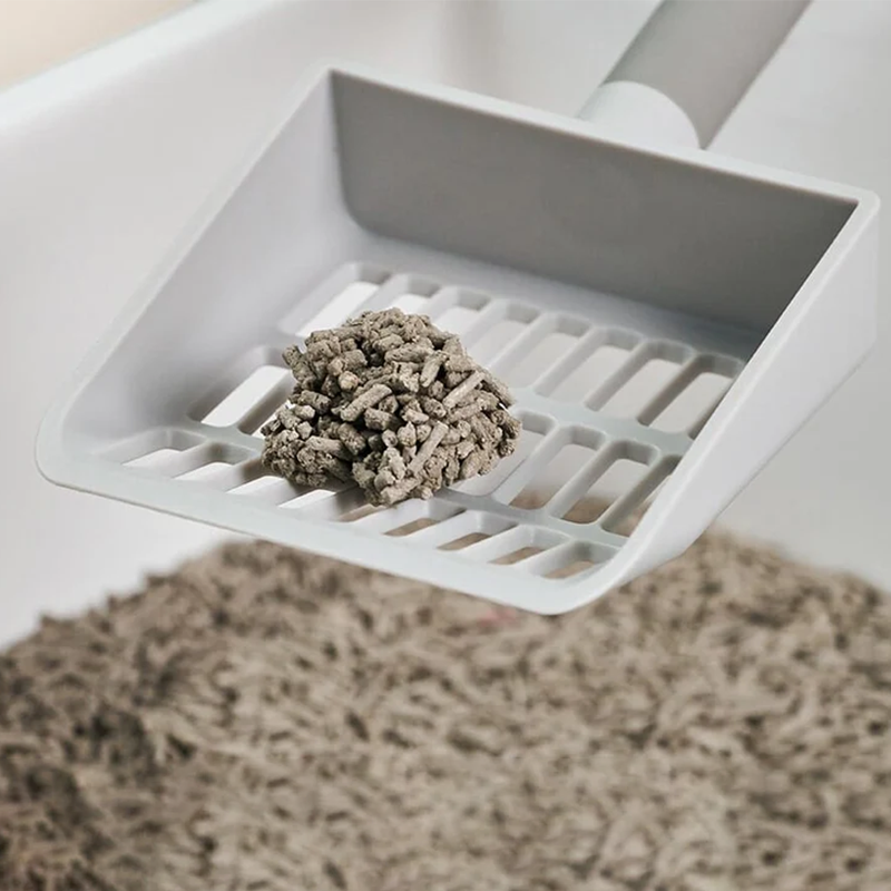Modern and simple, large-head Litter Box Scoop