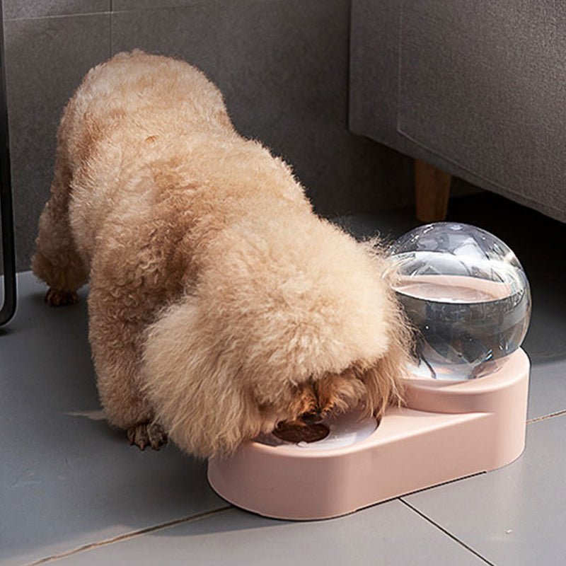 Automatic Pet Feeders and Water Bowls