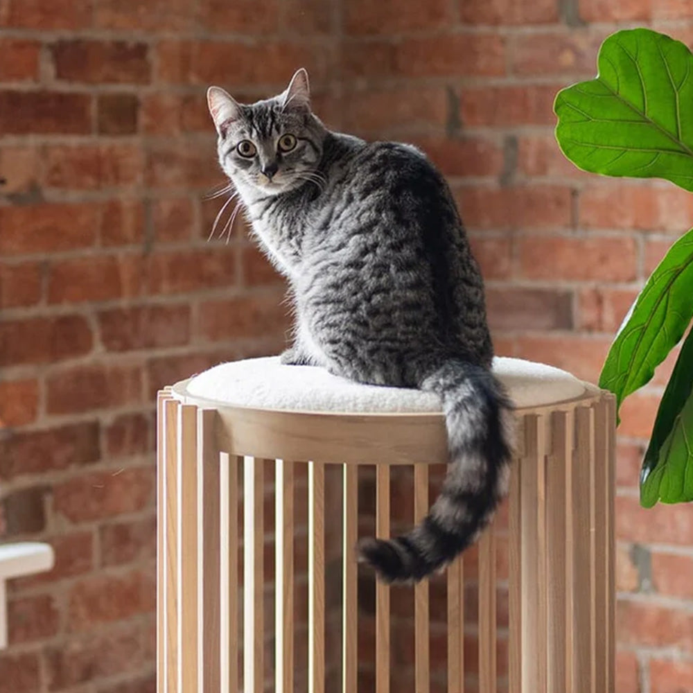 Solid Wood Cylindrical High and Low Cat Tower
