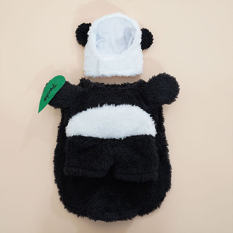 Panda Standing Funny Transformation Into Pet Costume
