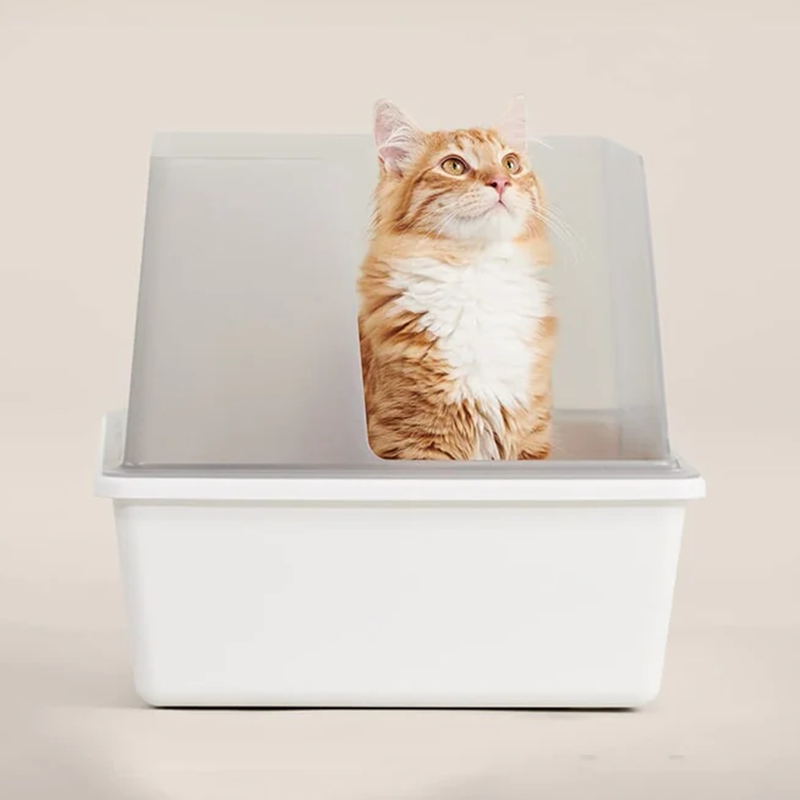 Simple Single Cubby Litter Box
