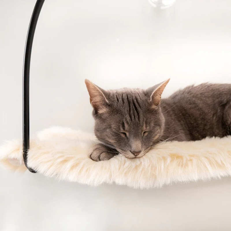 Cloud Nine Window Hammock