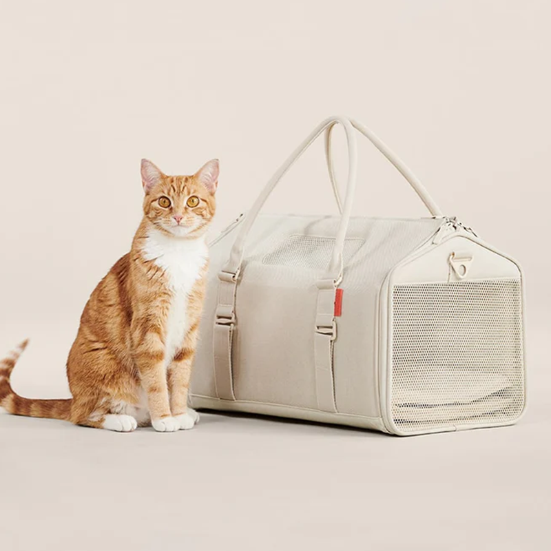Hand-held luggage cat bed