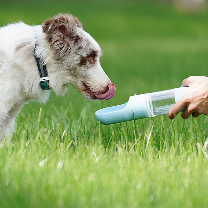 Outdoor Portable Water And Food Cup For Dogs