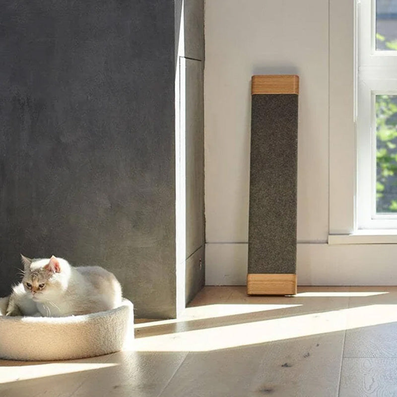 Cat Scratching Board With A Simple Design