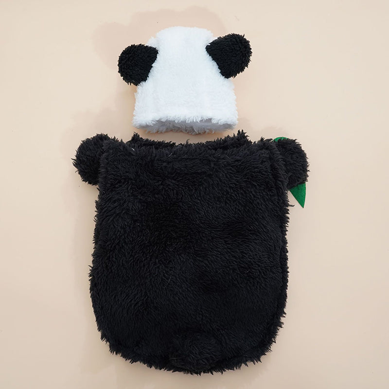 Panda Standing Funny Transformation Into Pet Costume