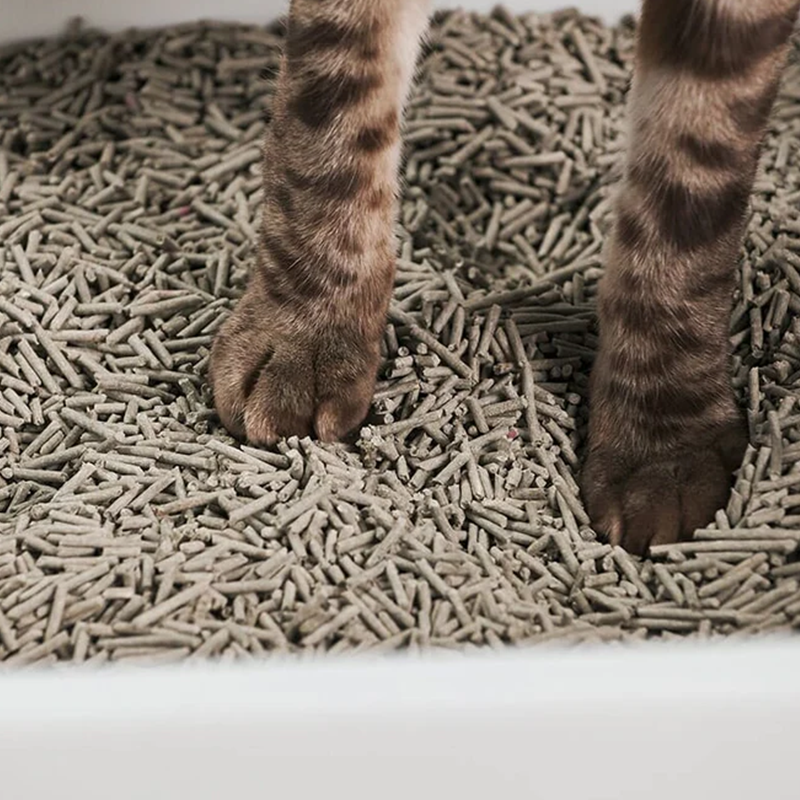Simple Single Cubby Litter Box