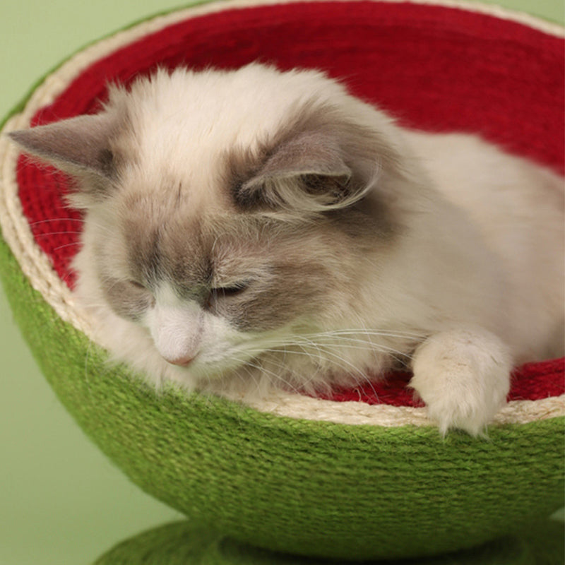 Watermelon Sisal Cat Bed Cat Scratching Board Integrated Toy