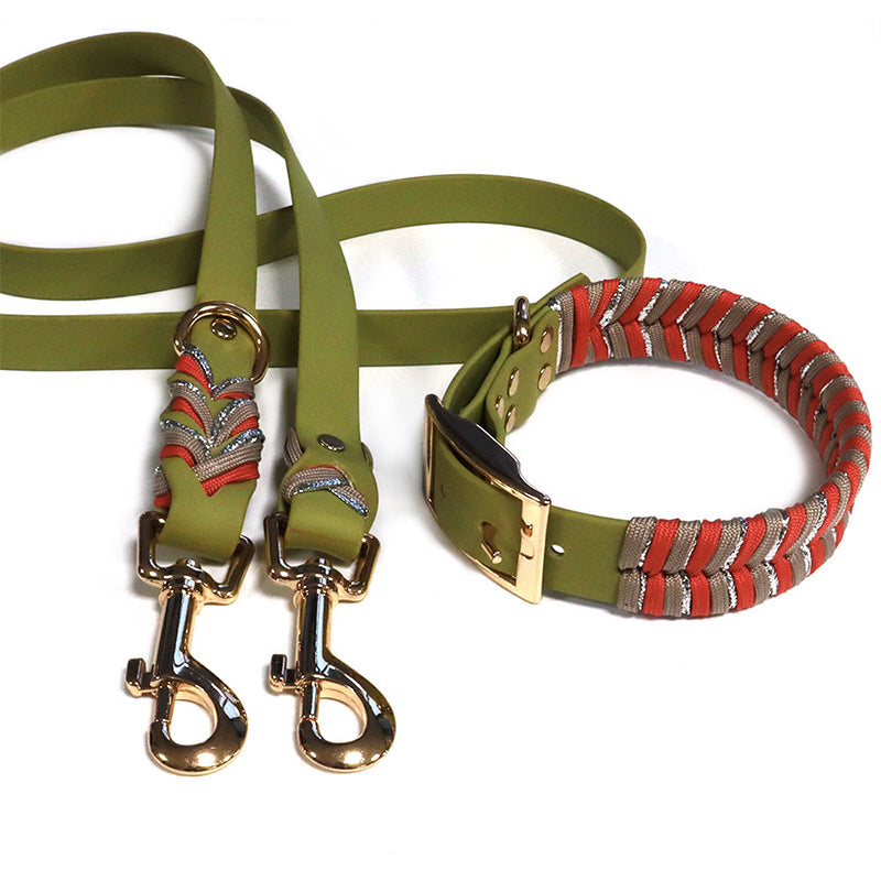Hot Selling Dog Leash and Collar Set