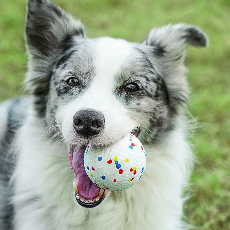 Pet Dog Tennis Ball Automatic Launcher