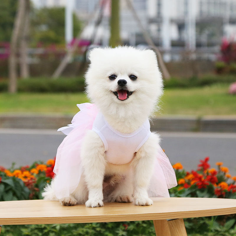 Pet Princess Wedding Dress