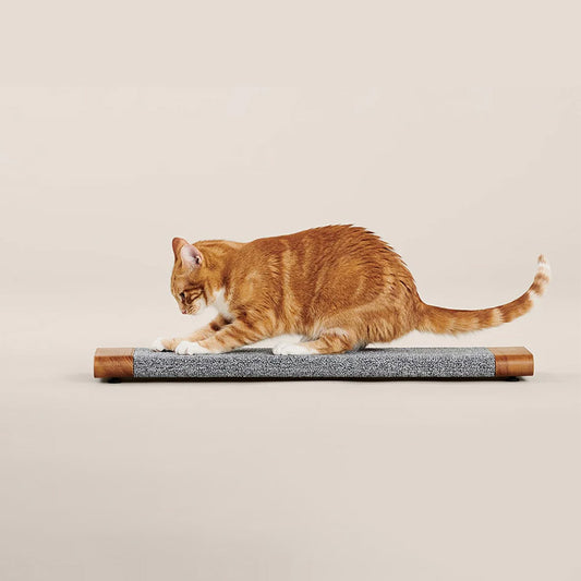 Cat Scratching Board With A Simple Design