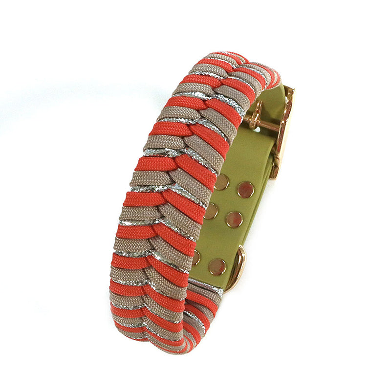 Hot Selling Dog Leash and Collar Set