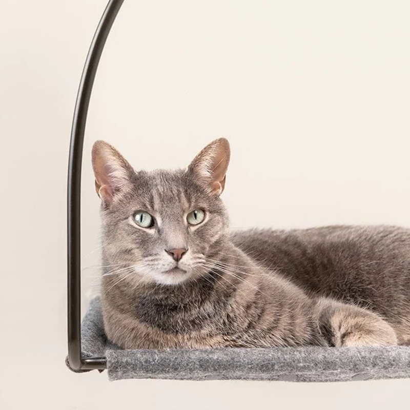 Cloud Nine Window Hammock