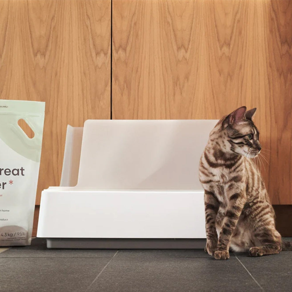 Minimalist Design Sustainable Cat Litter Box