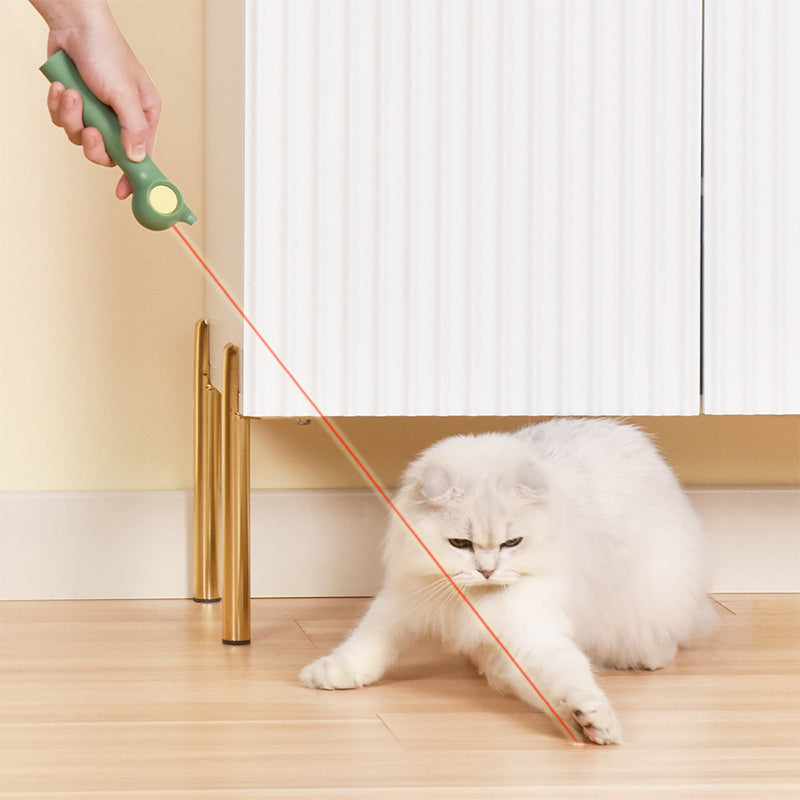 Electric Laser Pointer Infrared Cat Fishing Rod