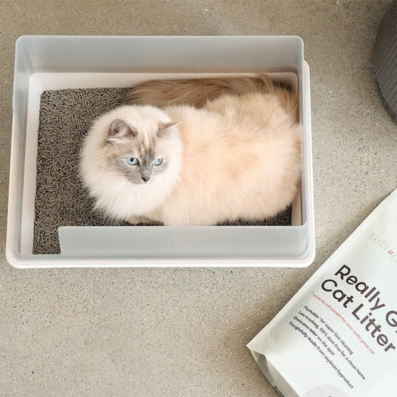 Simple Single Cubby Litter Box