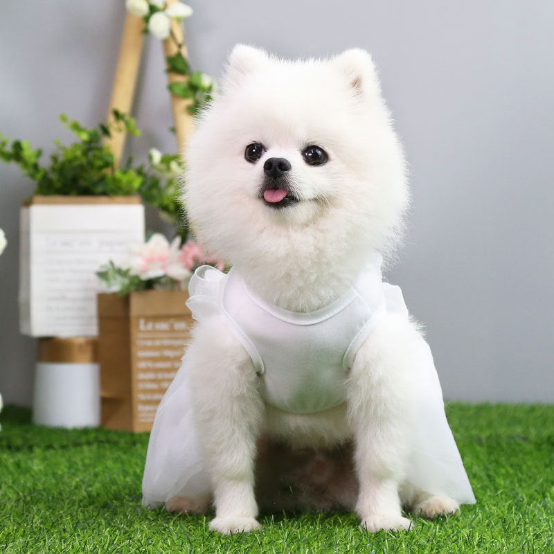 Pet Princess Wedding Dress