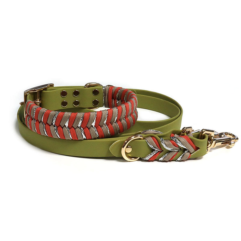 Hot Selling Dog Leash and Collar Set
